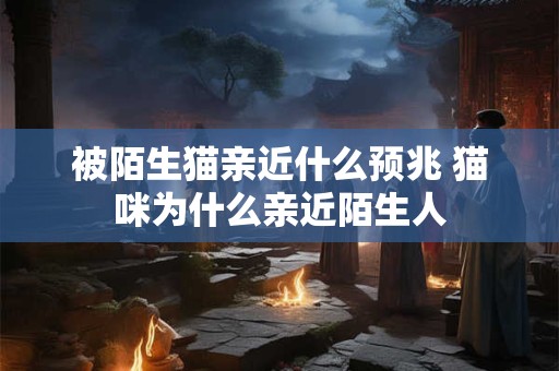 被陌生猫亲近什么预兆 猫咪为什么亲近陌生人