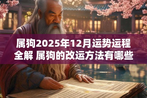属狗2025年12月运势运程全解 属狗的改运方法有哪些