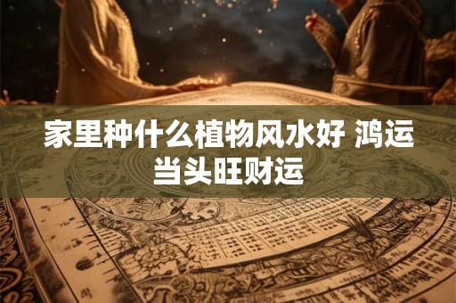家里种什么植物风水好 鸿运当头旺财运