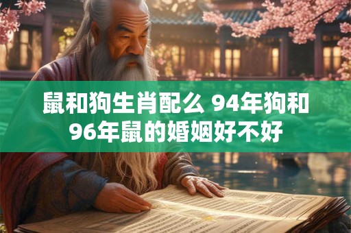 鼠和狗生肖配么 94年狗和96年鼠的婚姻好不好