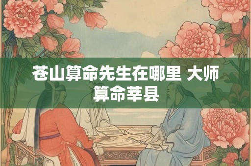 苍山算命先生在哪里 大师算命莘县