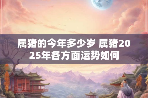 属猪的今年多少岁 属猪2025年各方面运势如何