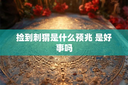 详细阅读:捡到刺猬是什么预兆 是好事吗 捡到刺猬是什么预兆 是好事吗