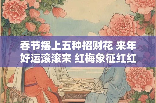 春节摆上五种招财花 来年好运滚滚来 红梅象征红红火火