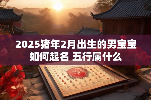 2026猪年2月出生的男宝宝如何起名 五行属什么