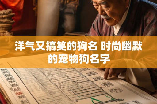 洋气又搞笑的狗名 时尚幽默的宠物狗名字