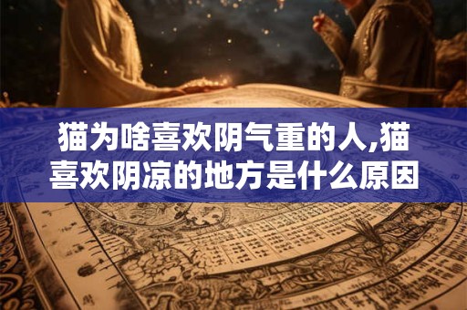 猫为啥喜欢阴气重的人,猫喜欢阴凉的地方是什么原因