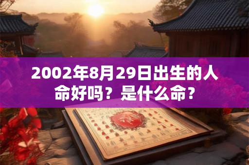 2002年8月29日出生的人命好吗？是什么命？