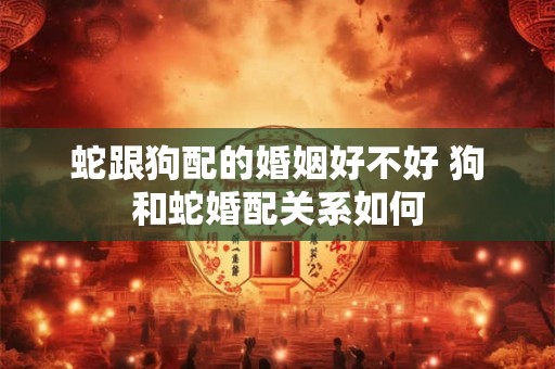 蛇跟狗配的婚姻好不好 狗和蛇婚配关系如何