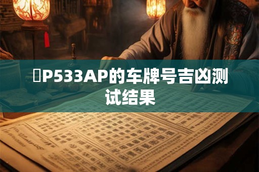 遼P533AP的车牌号吉凶测试结果
