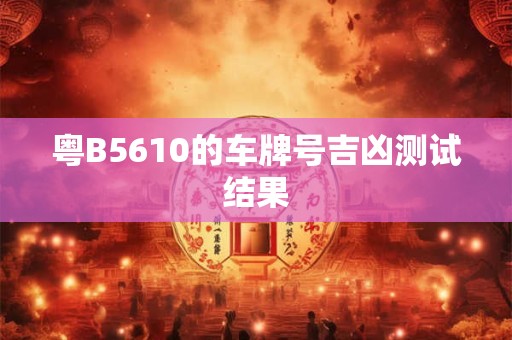 粤B5610的车牌号吉凶测试结果