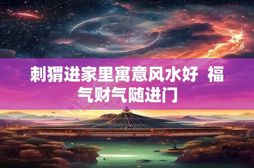 刺猬进家里寓意风水好  福气财气随进门