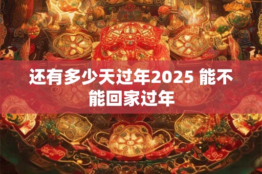还有多少天过年2025 能不能回家过年