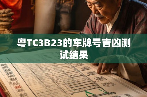 粤TC3B23的车牌号吉凶测试结果
