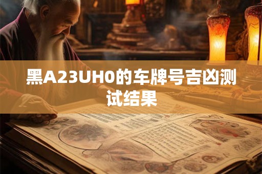 黑A23UH0的车牌号吉凶测试结果