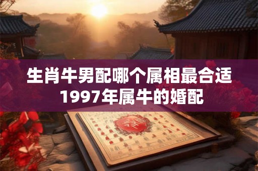 生肖牛男配哪个属相最合适 1997年属牛的婚配