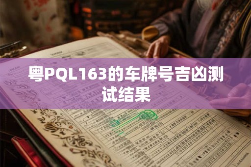 粤PQL163的车牌号吉凶测试结果