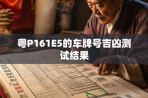 粤P161E5的车牌号吉凶测试结果