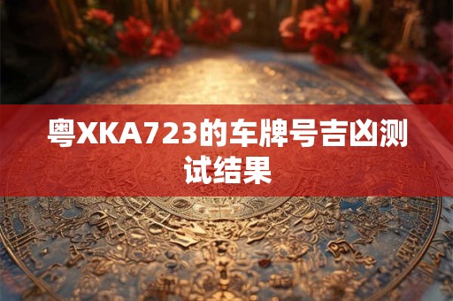 粤XKA723的车牌号吉凶测试结果