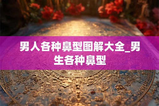 男人各种鼻型图解大全_男生各种鼻型