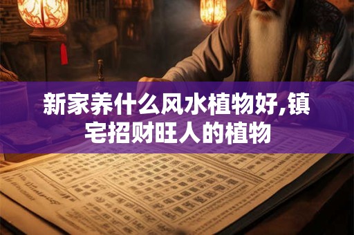 新家养什么风水植物好,镇宅招财旺人的植物