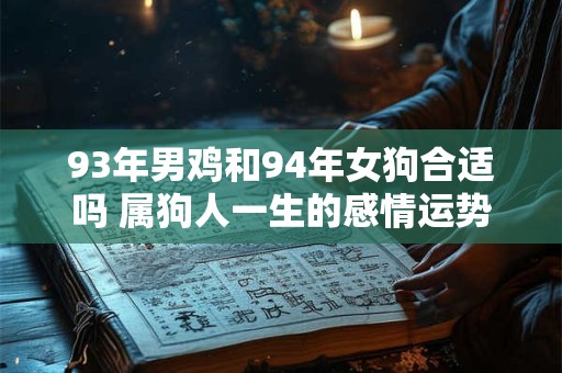93年男鸡和94年女狗合适吗 属狗人一生的感情运势怎么样