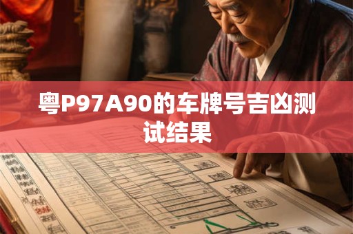 粤P97A90的车牌号吉凶测试结果