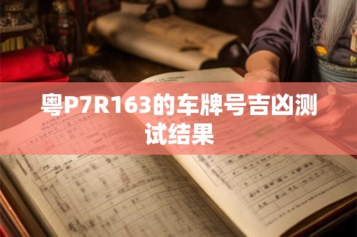 粤P7R163的车牌号吉凶测试结果