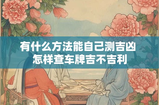 有什么方法能自己测吉凶 怎样查车牌吉不吉利
