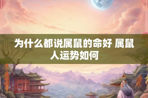 为什么都说属鼠的命好 属鼠人运势如何