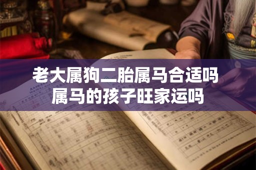 老大属狗二胎属马合适吗 属马的孩子旺家运吗