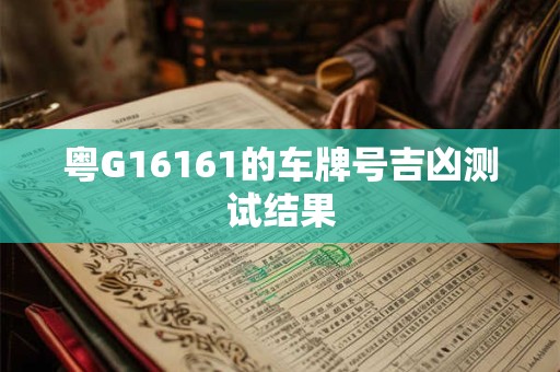 粤G16161的车牌号吉凶测试结果