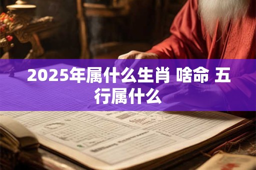 2025年属什么生肖 啥命 五行属什么