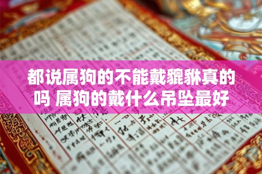 都说属狗的不能戴貔貅真的吗 属狗的戴什么吊坠最好