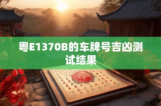 粤E1370B的车牌号吉凶测试结果