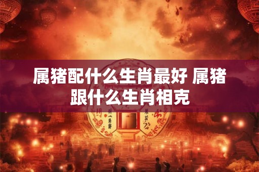 属猪配什么生肖最好 属猪跟什么生肖相克