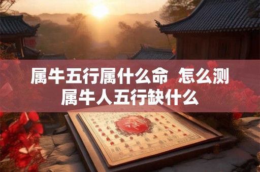属牛五行属什么命  怎么测属牛人五行缺什么