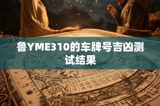 鲁YME310的车牌号吉凶测试结果