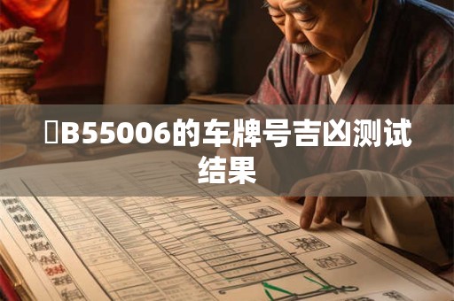 遼B55006的车牌号吉凶测试结果
