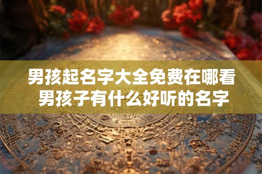 男孩起名字大全免费在哪看 男孩子有什么好听的名字