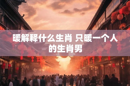 暖解释什么生肖 只暖一个人的生肖男