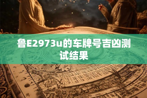 鲁E2973u的车牌号吉凶测试结果