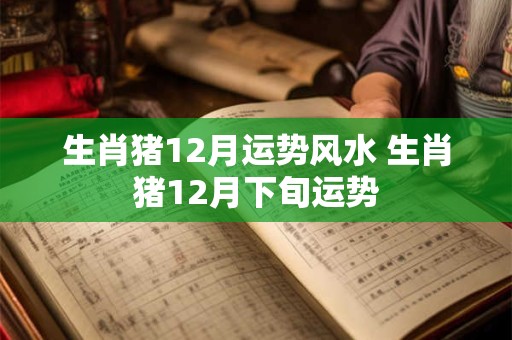 生肖猪12月运势风水 生肖猪12月下旬运势