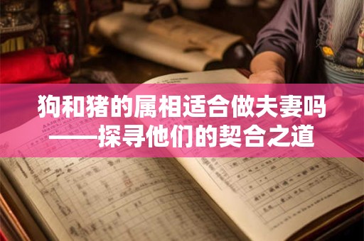 狗和猪的属相适合做夫妻吗——探寻他们的契合之道