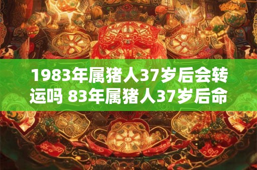 1983年属猪人37岁后会转运吗 83年属猪人37岁后命运如何