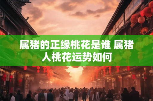 属猪的正缘桃花是谁 属猪人桃花运势如何