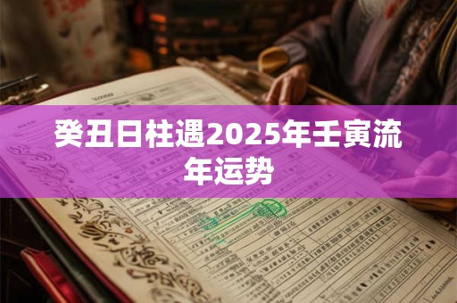 癸丑日柱遇2025年壬寅流年运势