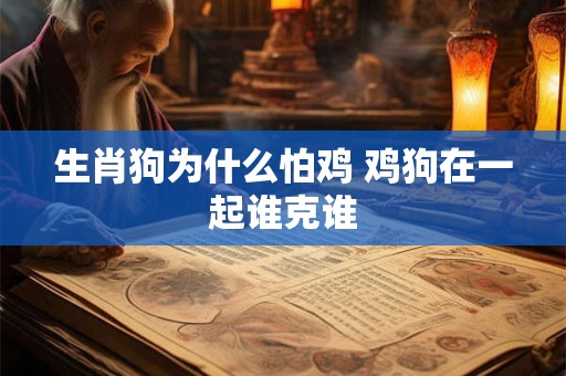 生肖狗为什么怕鸡 鸡狗在一起谁克谁