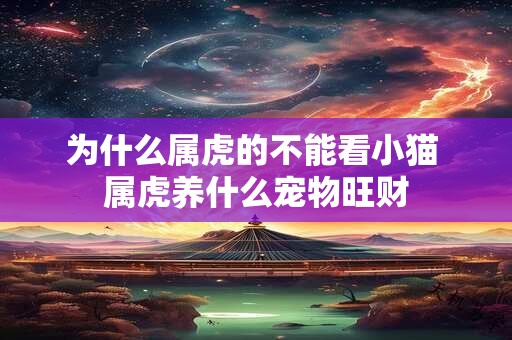 为什么属虎的不能看小猫 属虎养什么宠物旺财