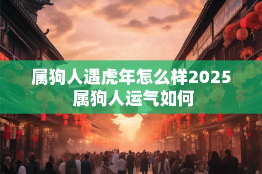 属狗人遇虎年怎么样2025 属狗人运气如何